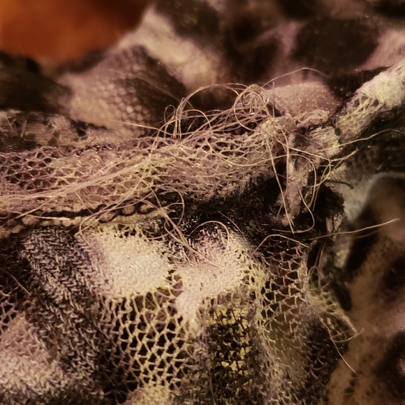 Off shoulder sheer top - Picture 6 of 8